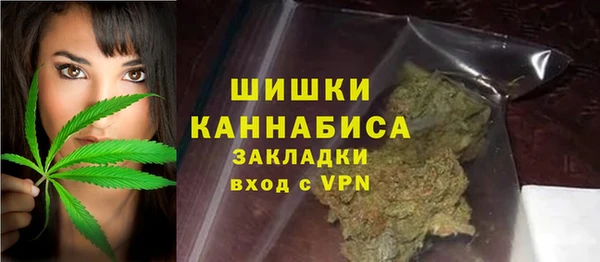 сатива Заволжье